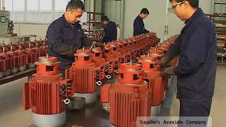 Shanghai Yulong Vacuum Pump Co.,Ltd                                     Company overview