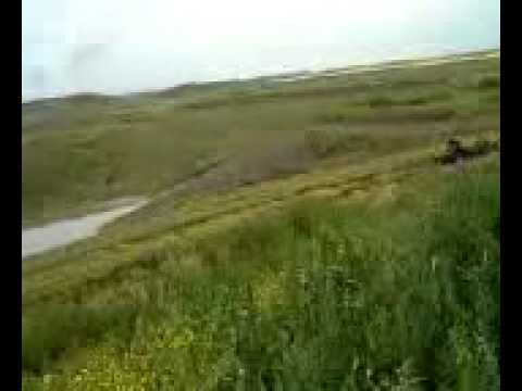 Raptor 660 on Homemade track