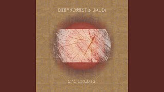 Music video thumbnail preview for Love Cymbal by Deep Forest