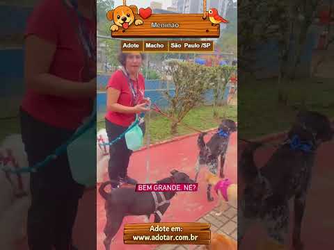 Vídeo de Meninão