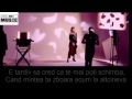Alina Eremia - A fost o nebunie (versuri) 