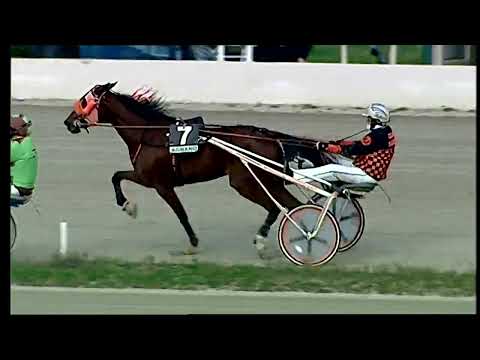 Napoli Trotto 21/01/2022 - 1ª corsa