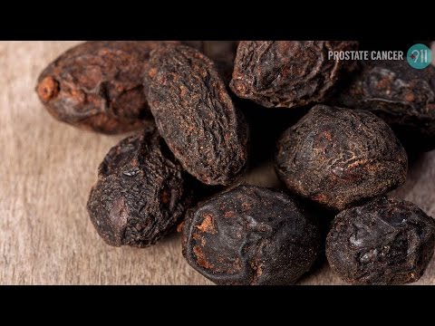 Esami del sangue per cani prostata Preparazione per la prostata transaddominale ultrasuoni