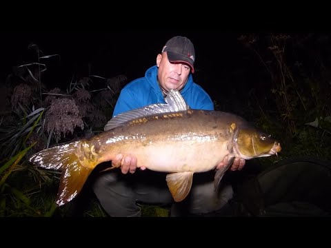 Karpfenangeln - Videotagebuch 7 - Viel oder wenig Futter? Teil 2 (mit Unterwasseraufnahmen)