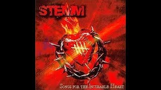 Stemm - Holding On / Face The Pain