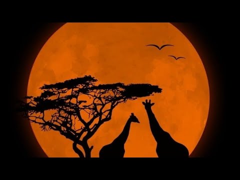 Phendula - Zahara (Acoustic cover by ZENNAH ZEE)