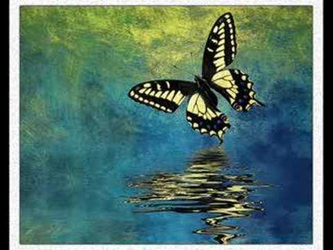 Poslednja Igra Leptira - Nataša