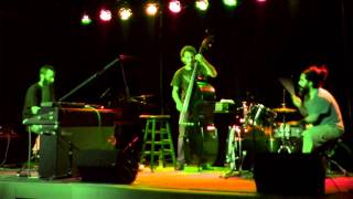 Jamie Saft's New Zion Trio - 