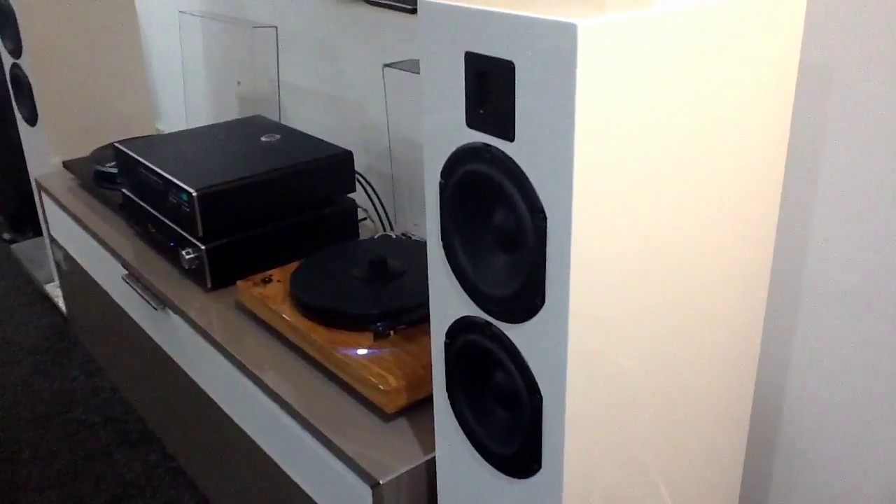 video Loa Piega Classic 7.0 chính hãng 0