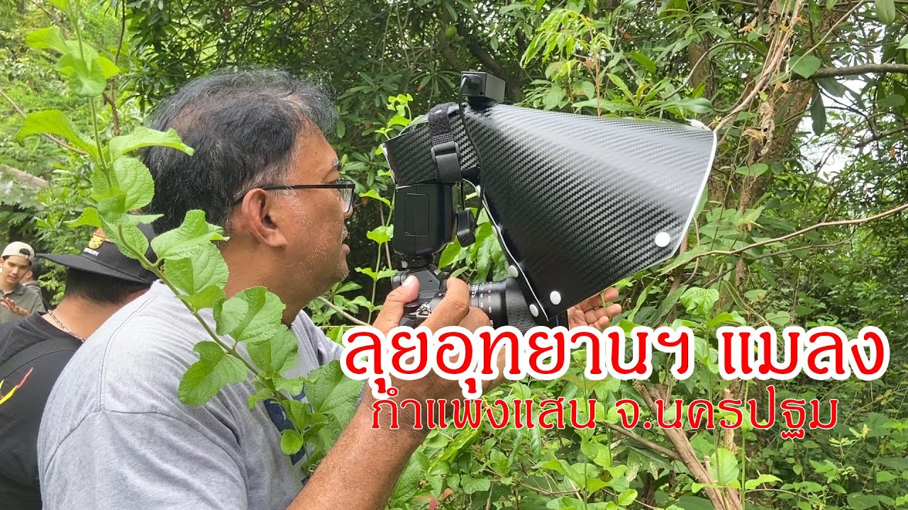 Royal Commemorative Insect Park