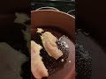 Video Thumbnail for Dynamite Beer Batter Perch!