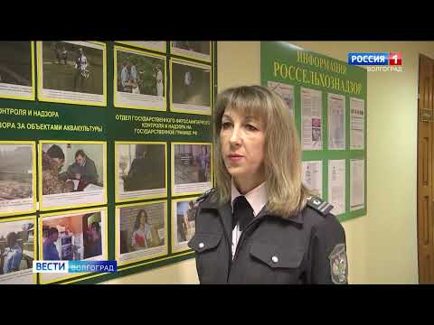 Управлением Россельхознадзора проконтролирована отправка экспортной продукции из Волгоградской области