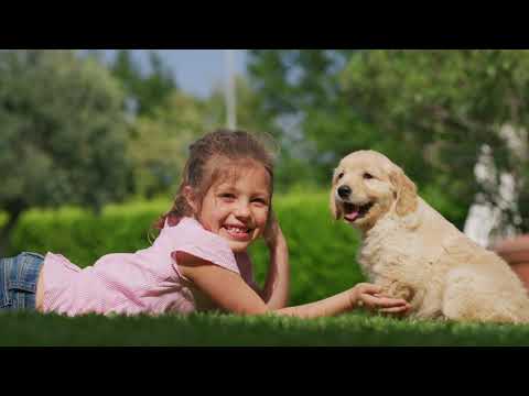 Video: KİPTAŞ İZMİT ÇINAR EVLER