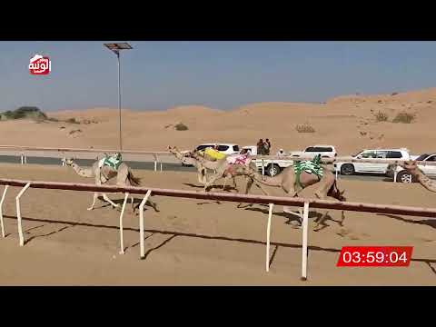 الشوط 22 (نجود) لـ خليفة عبيد بن بدر العليلي 6:25 , شارة الديوان 2025/10/25 لقايا اللبسه 
