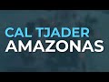 Cal Tjader - Amazonas (Official Audio)