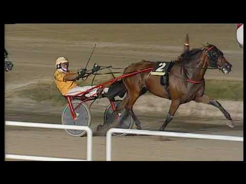 Trotto 26/07/2020 - 8ª corsa - G.P. Regione Campania (Filly)