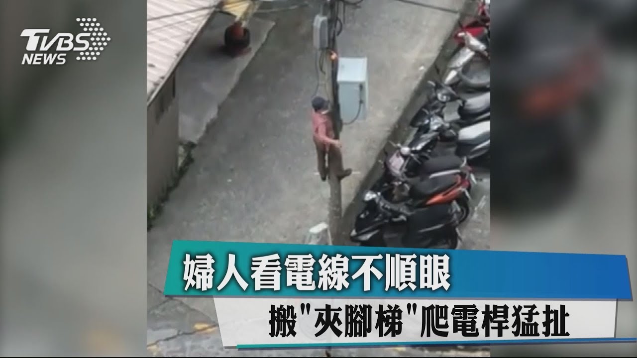 看電線不順眼 婦搬「夾腳梯」爬電桿猛扯