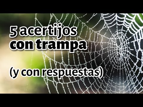 Acertijos con trampa CON RESPUESTAS - ¿Caerás?
