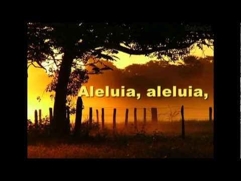 O Caminho de Deus É Perfeito - Asaph Borba