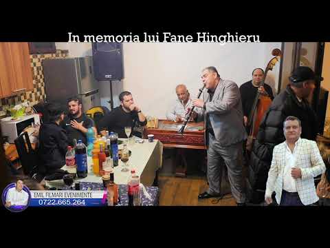 Nelu Bosoi - Instrumentala  ascultare -  In memoria lui Fane Hinghieru