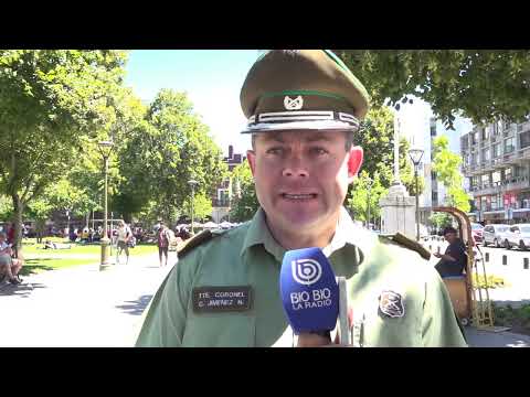 Incendio de pastizales en Coronel: prisión preventiva para hombre de 26 años