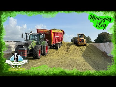 Maargies vlog 172: maisoogst, mais hakselen, nieuwe gezichten & update bouw | new holland, fendt