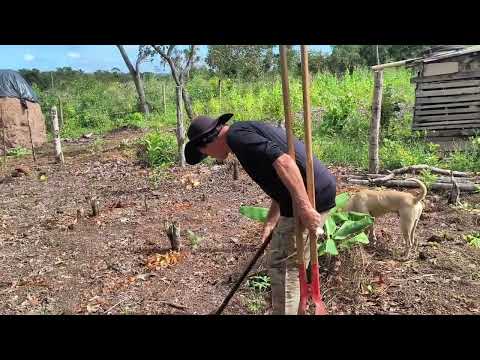 Chácara construída do zero no Tocantins,venha ver nossa evolução #chácara São Miguel #palmas#To