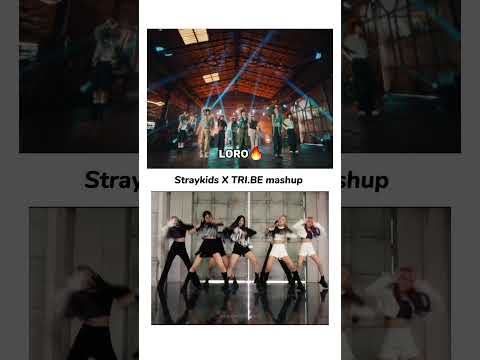 why they both are too perfect 😩🥵#Tri.be - LORO 💥X #Straykids - Chk Chk boom🔥 #straykids #tribe #kpop