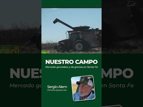 Nuestro Campo | Mercado ganadero y de granos Santa Fe: precios y cotizaciones - Martes 22 09 26