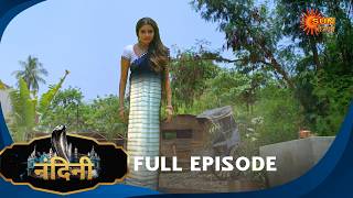 Nandini - Episode 117 | Bhojpuri Naagin show | Sun Bhojpuri | Bhojpuri Serial