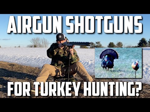 Airgun Shotgun Turkey Hunting: Increase Knock Down Power and Range with Tungsten Super Shot!