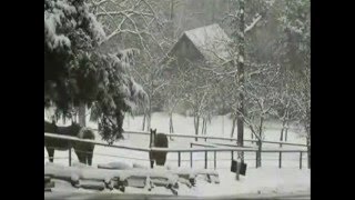 FIRST SNOW - Phil Ochs