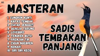 Download lagu 🔴 GACOR ‼️ MASTERAN MURAI BATU GACOR mp3