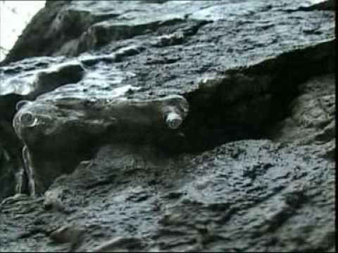 Spot  &UR & Vladana  The Mans Way