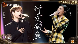 Download lagu 【纯享】#那英 #汪苏泷 《行走的鱼》｜《声生不息·华流季》Infinity And Beyond·Mandopop｜ MangoTV mp3