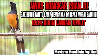 Download lagu MASTERAN MURAI BATU JUARA FULL NEMBAK ISIAN MEWAH KENARI CILILIN KAPAS TEMBAK LOVEBIRD CUCAK CUNGKOK mp3 Download lagu MASTERAN MURAI BATU JUARA FULL NEMBAK ISIAN MEWAH KENARI CILILIN KAPAS TEMBAK LOVEBIRD CUCAK CUNGKOK mp3