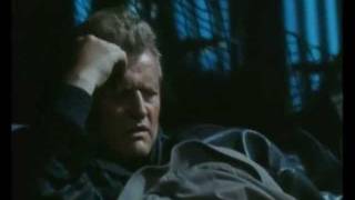 Black Lips - Stone Cold