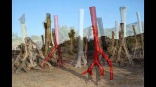 preview picture of video 'Steve Shigley Joshua Tree Sculptures'