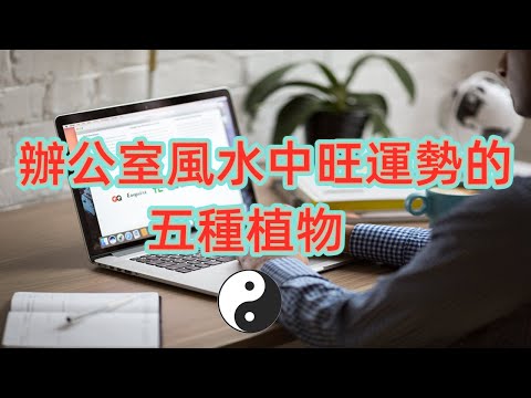 辦公室植物禁忌