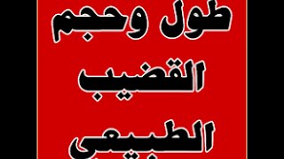 ماهر مطبخ تحفظا اشكال العضوي الذكري الصناعي بالصور rosedalemasterplan com ماهر مطبخ تحفظا اشكال العضوي الذكري الصناعي بالصور rosedalemasterplan com