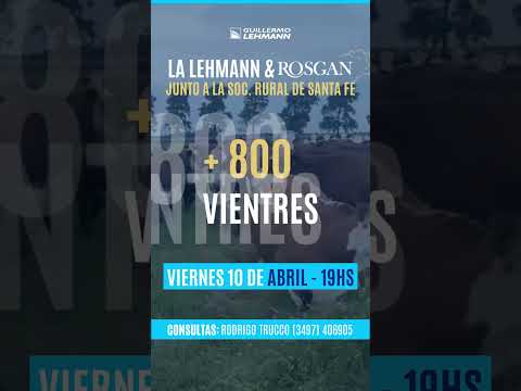 Más de 5.200 cabezas en el remate especial La Lehmann y Rosgan con la Sociedad Rural de Santa Fe