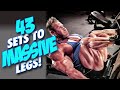 43 SETS TO MASSIVE LEGS! PLUS JAY'S OLYMPIA PREVIEW!