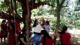 preview picture of video 'Vườn đỏ cô ba Thắm'