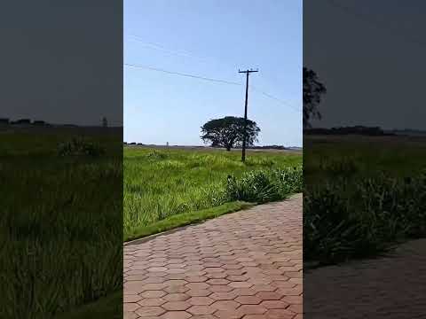 @Batorinha vivendo os encantos de Guaporema noroeste do Paraná