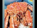Where To Buy Live King Crab In Singapore