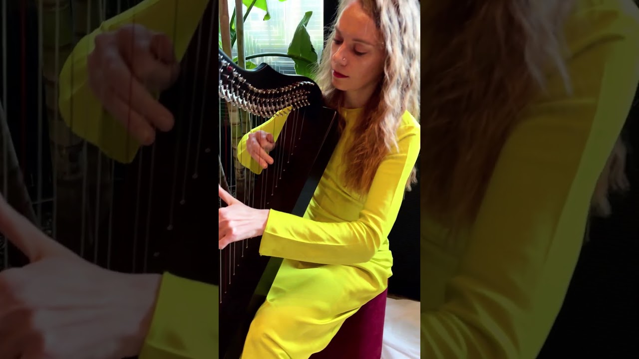 Promotional video thumbnail 4 for Harp to Heart