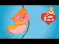 Classic Care Bears Cheer Of The Jungle