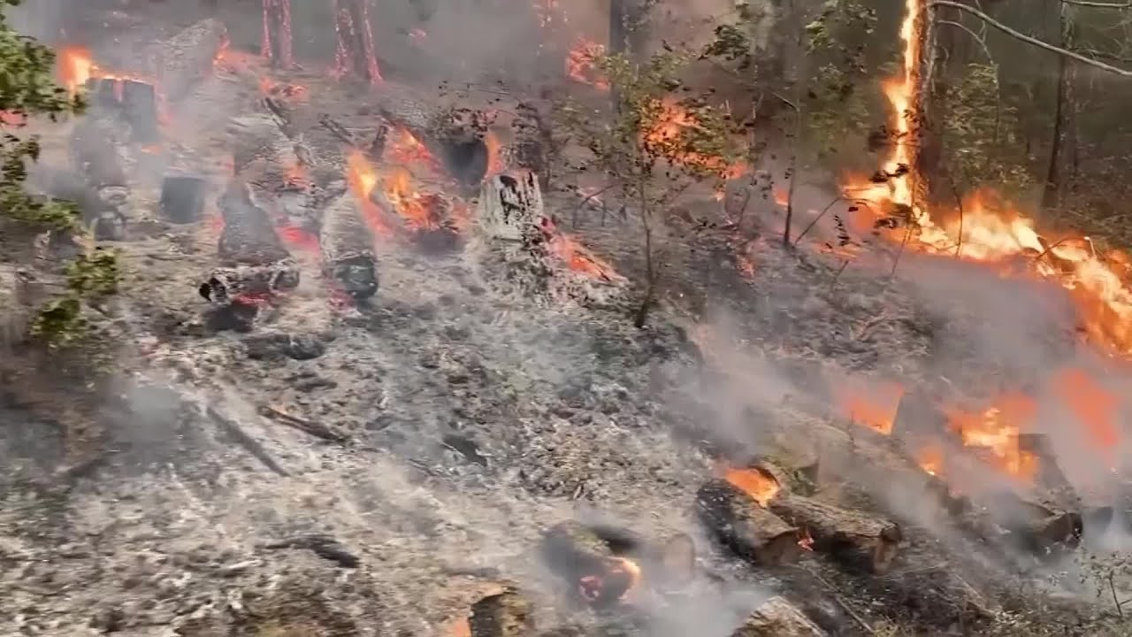 Record-breaking California wildfires surpass 4 million acres