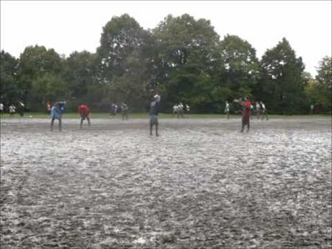 Frisbee Power Fake Freespeed vs Dogs