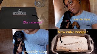 ranting about global issues, new restaurants, baking a cake | Dee's Vlogs
